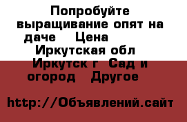 Попробуйте выращивание опят на даче! › Цена ­ 1 400 - Иркутская обл., Иркутск г. Сад и огород » Другое   